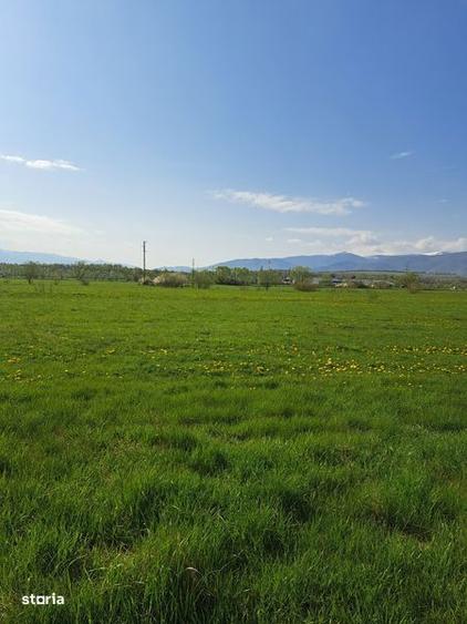 Teren de 550 mp, în Ștrand