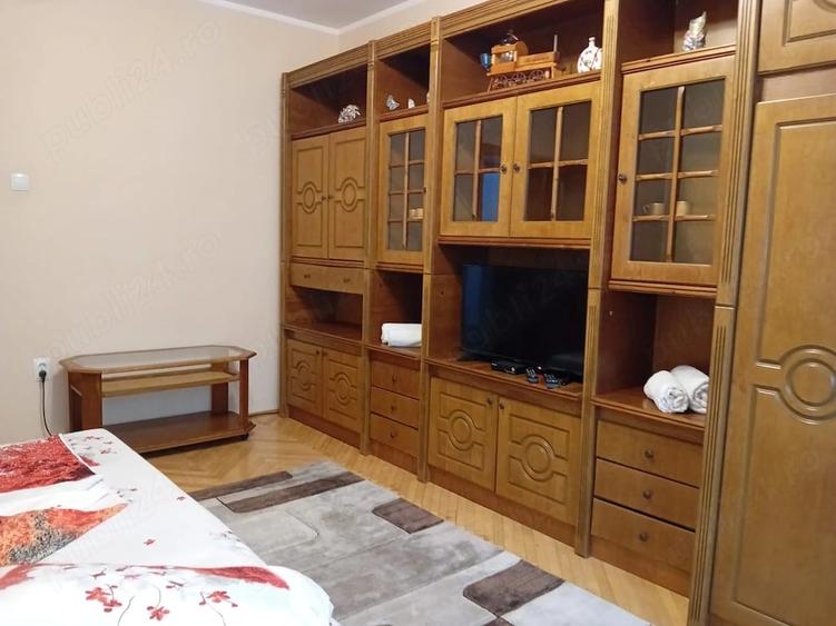 Apartament 2 camere in regim hotelier - Baile Herculane - 5