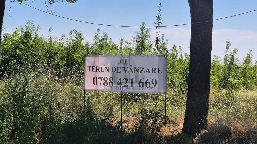 Teren de 12828 mp, în Cernica