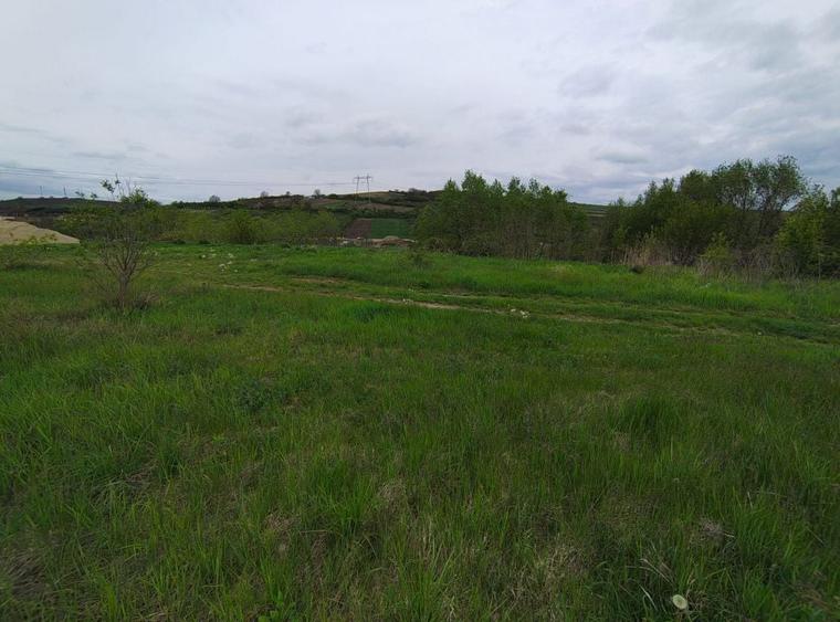 Teren Construcții intravilan de 717 mp, în Șura Mare