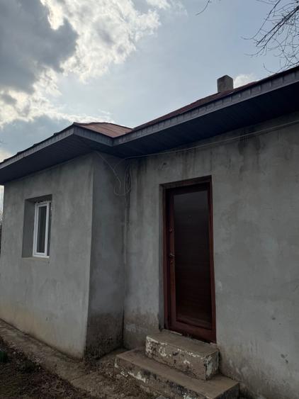 Casă cu 3 camere în Radu Vodă