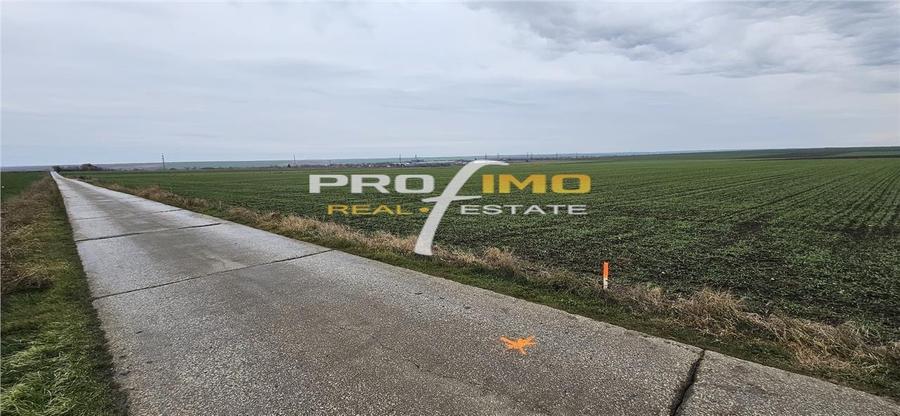 Teren agricol extravilan de 4200 mp, în Corbu