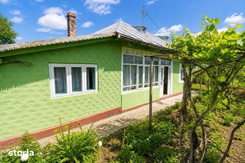 Casă cu 3 camere cu Teren 4300 Mp în Podu Roș