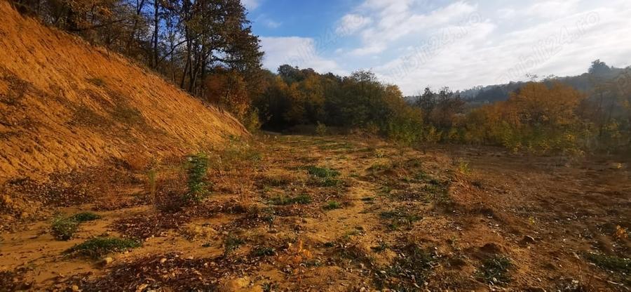 Teren de 1500 mp, în Calea Caransebeșului