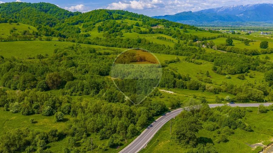 Teren Construcții intravilan de 10000 mp, în Glăjărie