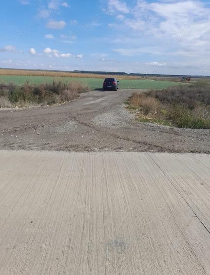 Teren în Comana