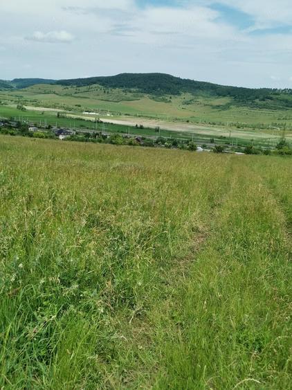 Teren de 2900 mp, în Aghireșu