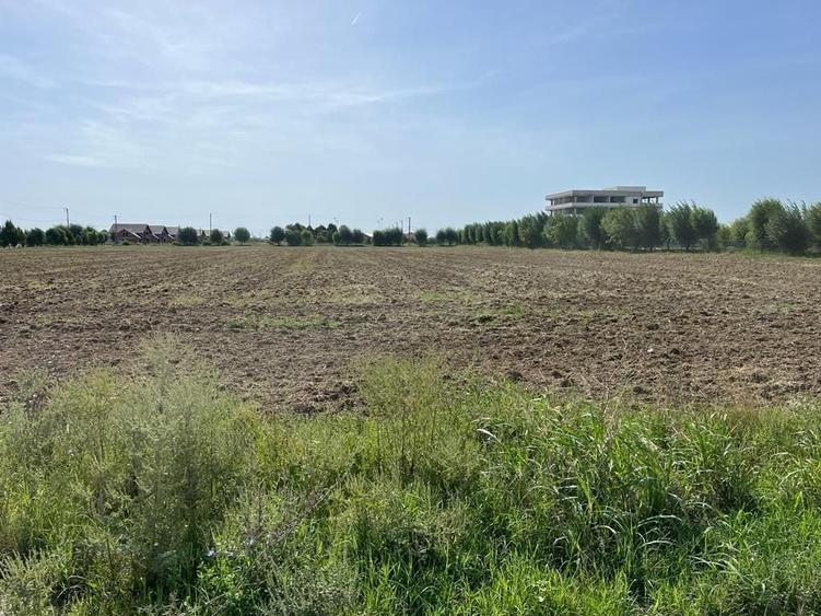 Teren Construcții intravilan de 9400 mp, în Palanca