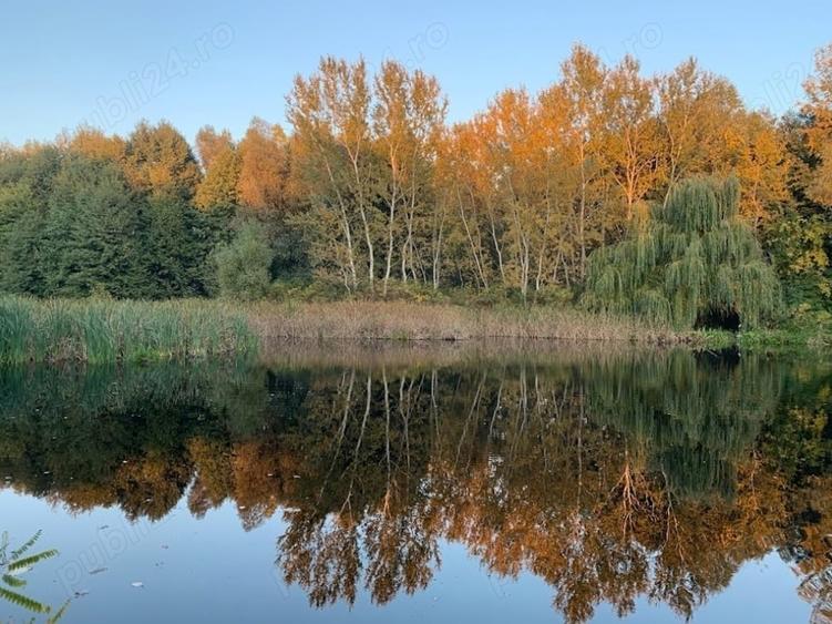 Teren de 5000 mp, în Ostrovu Corbului