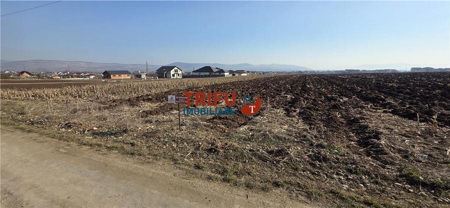 Teren Construcții intravilan de 2097 mp, în Ampoi 1