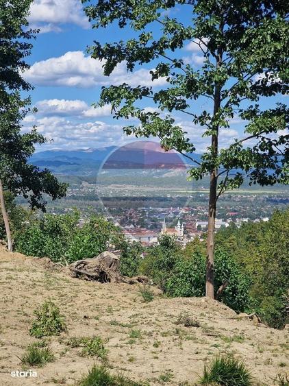 Casă cu 3 camere cu Teren 6000 Mp în Central