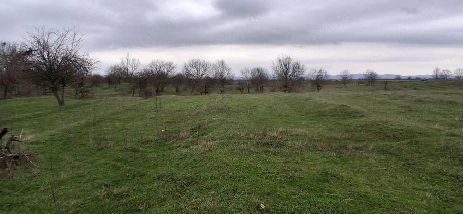 Teren de 3700 mp, în Central