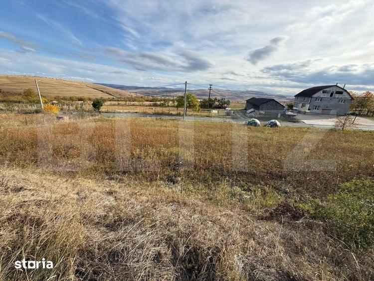 Teren de 1865 mp, în Ciurila