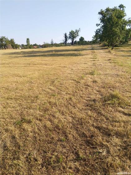 Teren de 2100 mp, în Rădăcinești
