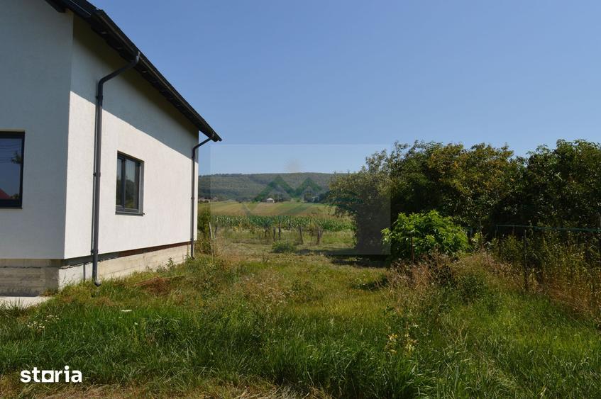 Casă cu 5 camere cu Teren 9700 Mp în Vama