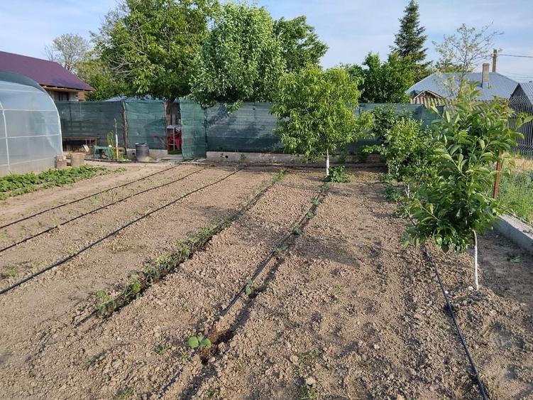 Casă cu 3 camere în Perieți