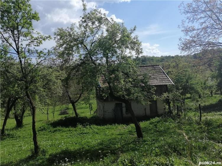 Teren de 5265 mp, în Teișani