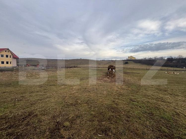 Teren Construcții intravilan de 2800 mp, în Sud