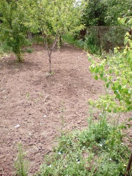Casă cu 3 camere în Ultracentral