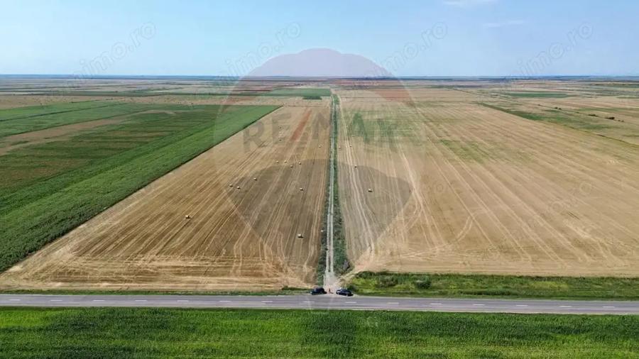 Teren de 1486280 mp, în Măicănești