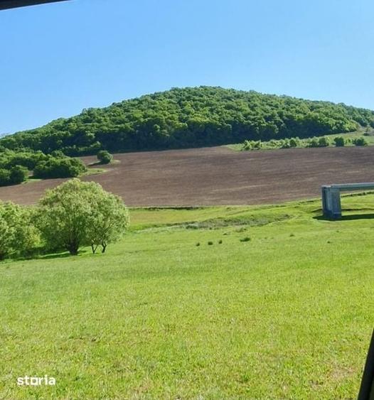 Teren de 16200 mp, în Sângeorgiu de Mureș
