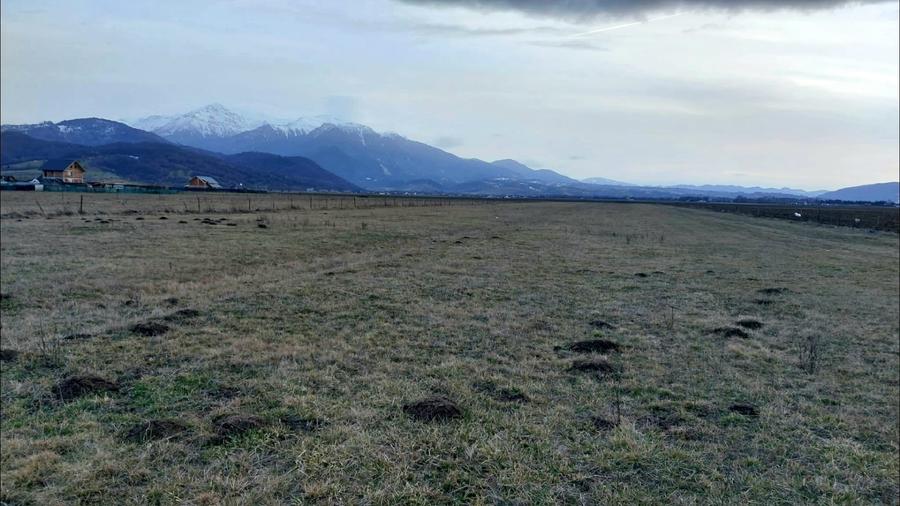 Teren Construcții intravilan de 1049 mp, în Pănicel