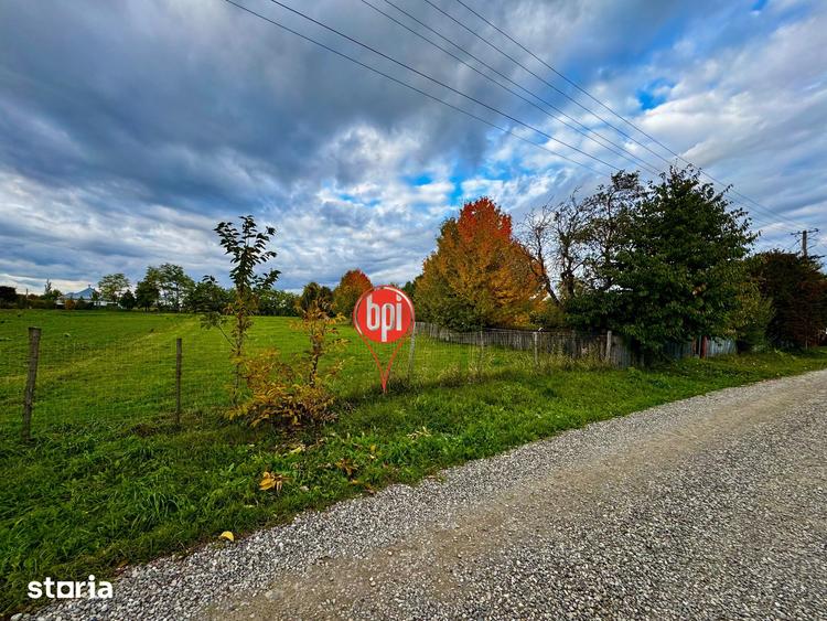Teren de 4300 mp, în Brusturi