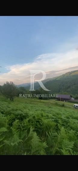 Teren 10.900mp | Panoramă în Apuseni | Remeți -Ideal pentru Investitii - 10