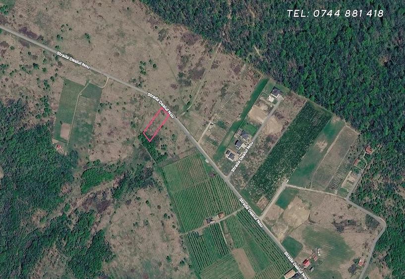 Teren de 1227 mp, în Săldăbagiu de Munte