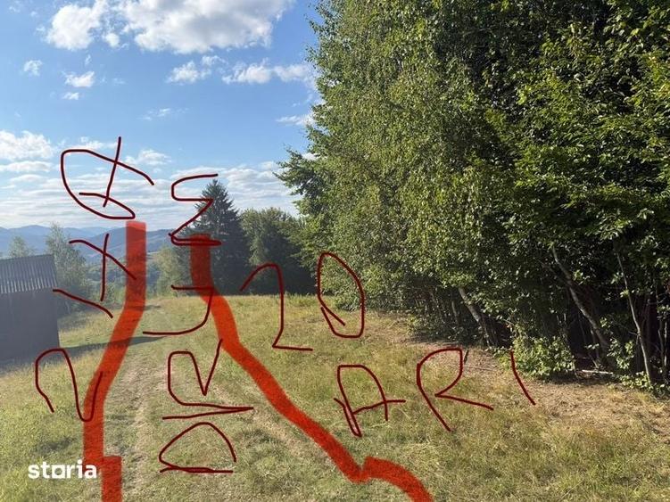 Teren de 2000 mp, în Vama