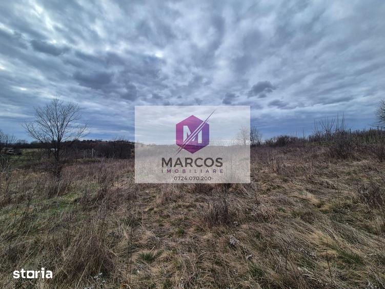 Teren de 11400 mp, în Carașova