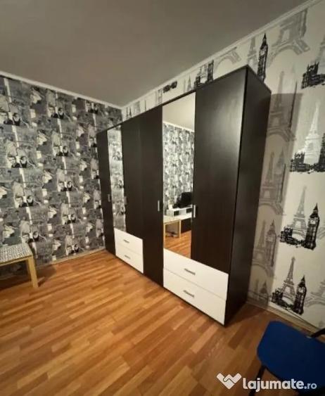 Dristor vitan lacramioarei parter - Bucuresti (Bucuresti-Ilfov) - 6