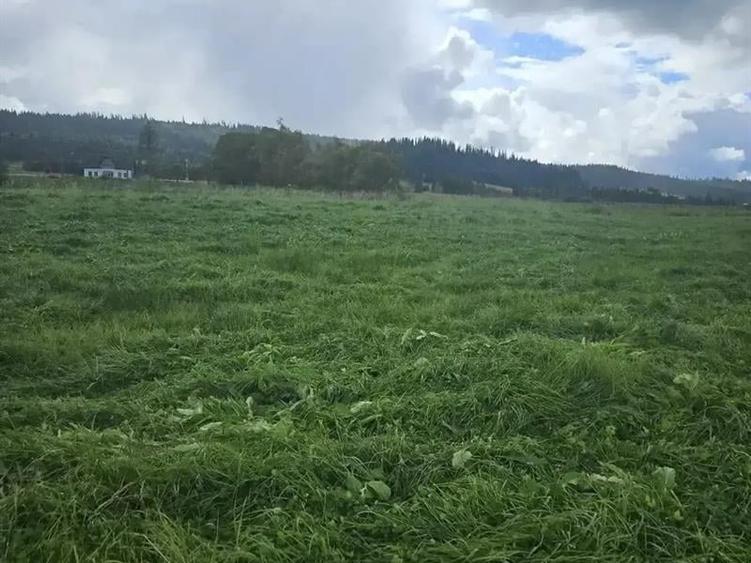 Teren Construcții intravilan de 5908 mp, în Poiana Stampei