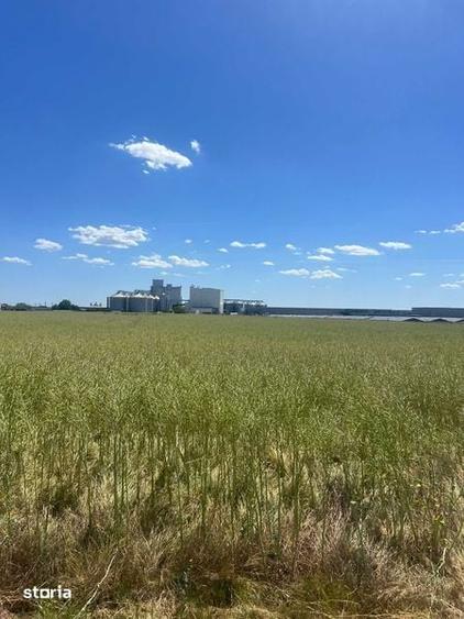 Vand teren in zona industriala, Santandrei, 23.500 mp - 6