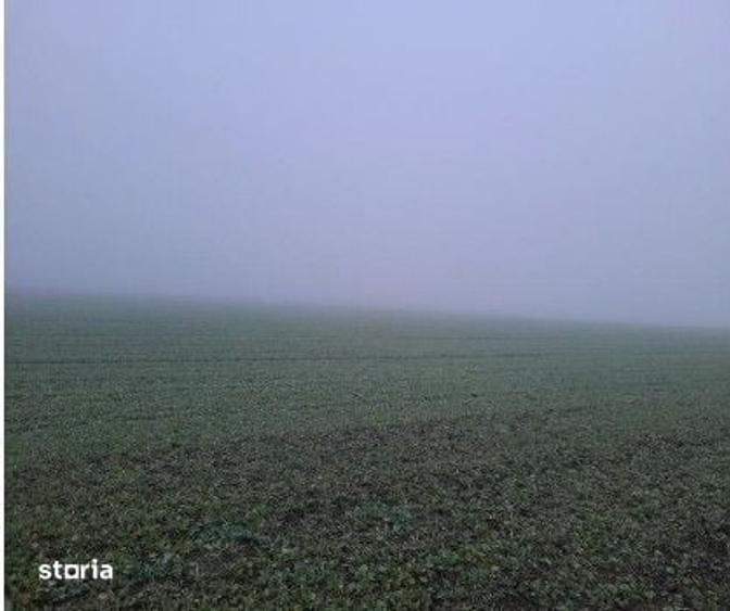 Teren de 4040 mp, în Troianul