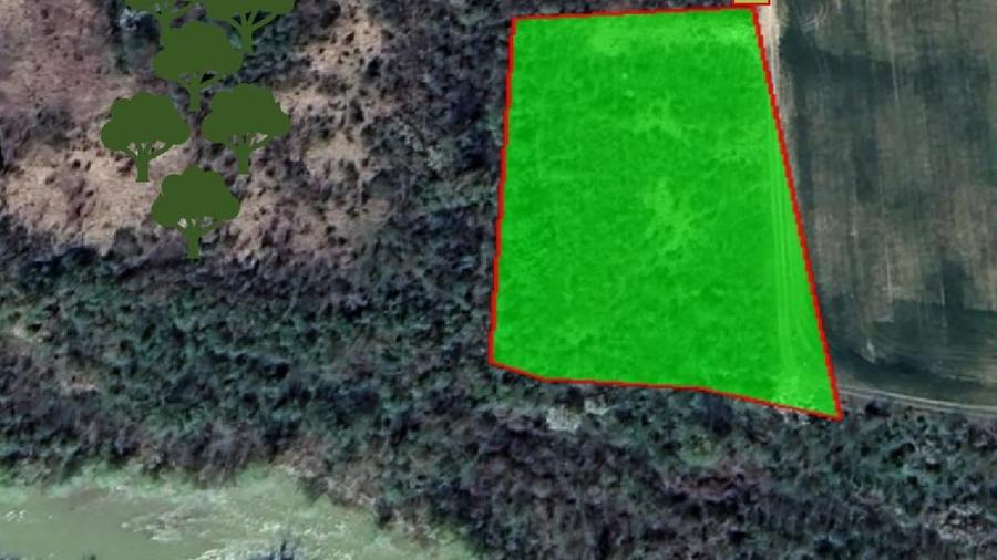 Teren Construcții intravilan de 6700 mp, în Ciolpani