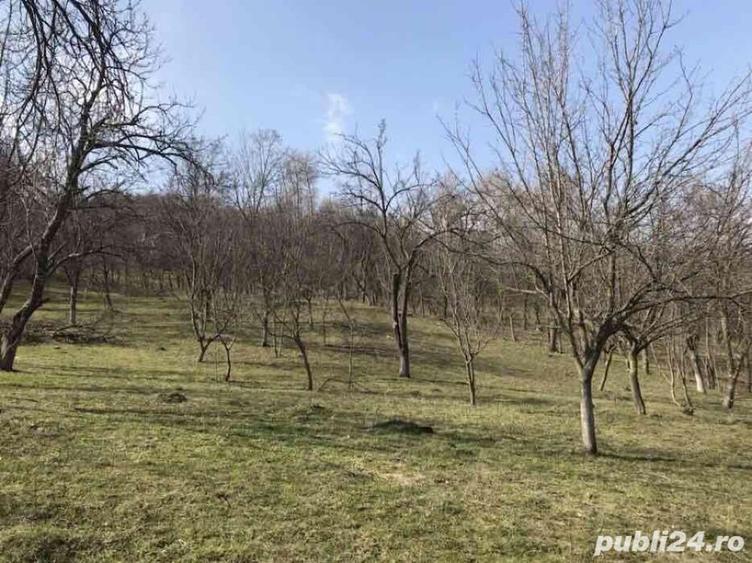 Teren de 1660 mp, în Teișani