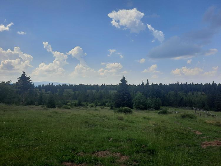 Teren de 4279 mp, în Beliș
