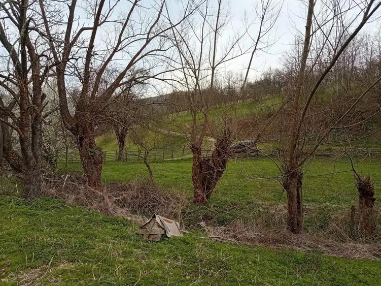 Casă cu 4 camere în Poieni (Densuș)
