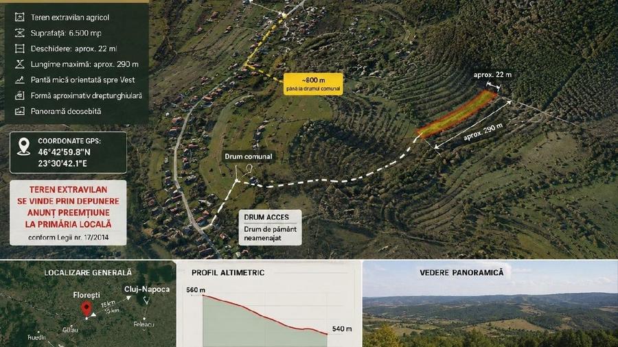 Teren agricol de 6500 mp, în Florești