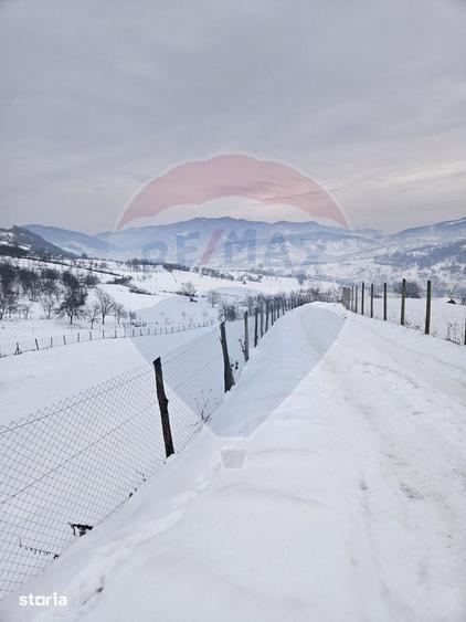 Teren de 4301 mp, în Bârsana