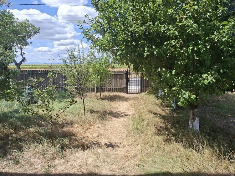 Casă individuală cu 3 camere cu Canalizare în Făurei