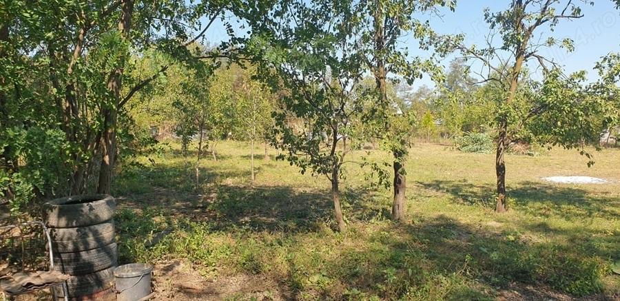 Teren de 4537 mp, în Teișani