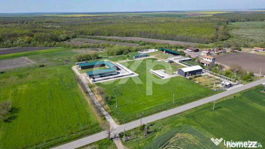Black Angus Farm with authorized Slaughterhouse - 14