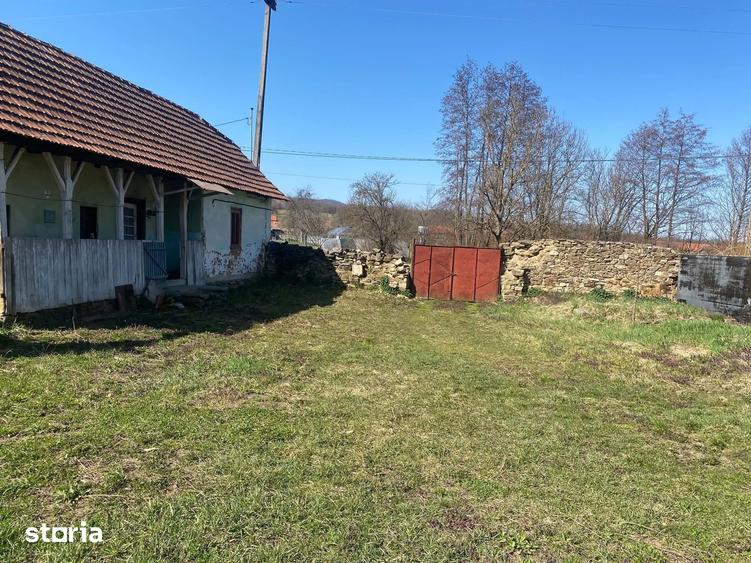 Teren de vanzare 11.000 mp, acces asfaltat - 7