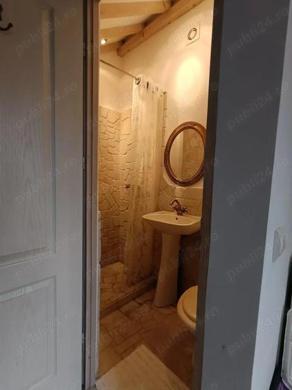Garsoniera cu terasa proprie in vila interbelica, central, str Iorga - 2