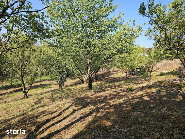Casă cu 4 camere cu Teren 3000 Mp în Nicolina
