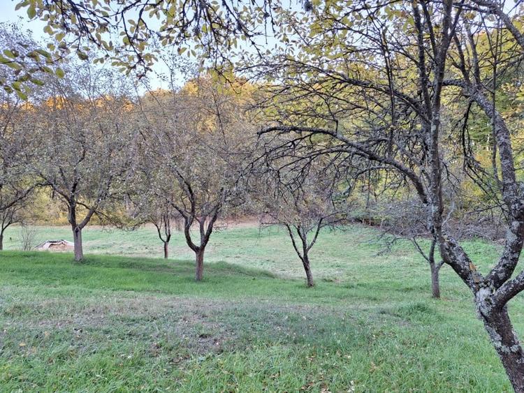 Teren Construcții intravilan de 600 mp, în Lăbușești
