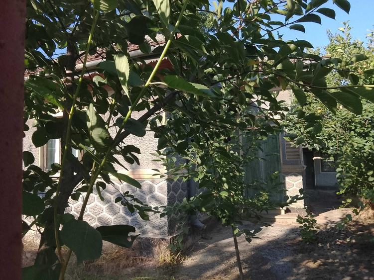 Casă cu 3 camere în Lipia