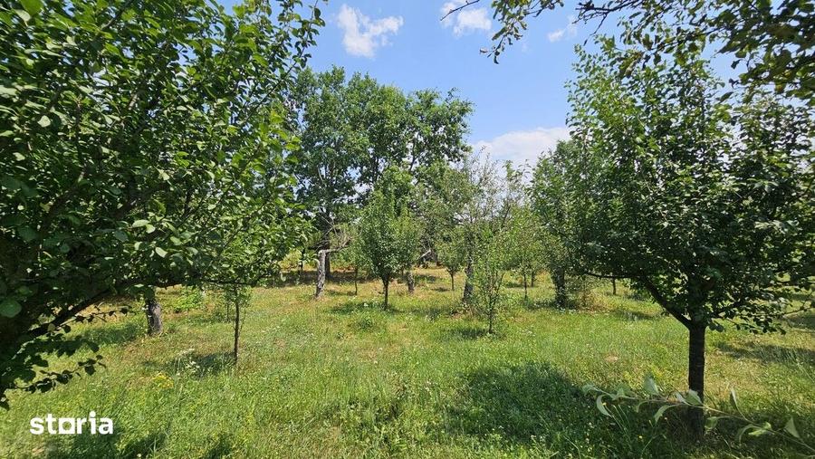 Teren de 480 mp, în Central